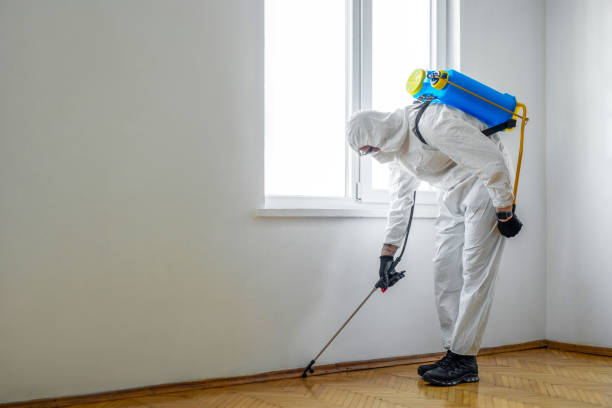 Best Exterminator Services  in East Rancho Dominguez, CA
