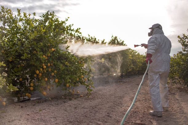 Best Wildlife Control Services  in East Rancho Dominguez, CA