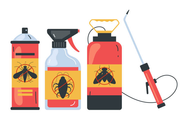 Best Pest Control Near Me  in East Rancho Dominguez, CA