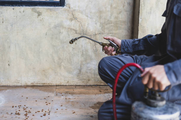 Best Mosquito Control Services  in East Rancho Dominguez, CA
